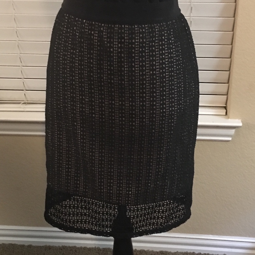 Ann Taylor Eyelet Skirt _ Size 10P